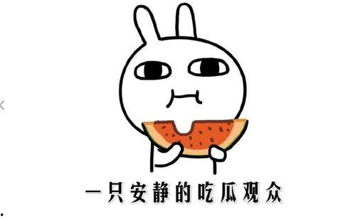 座等吃瓜是什么意思,揭秘网络流行语的趣味与内涵